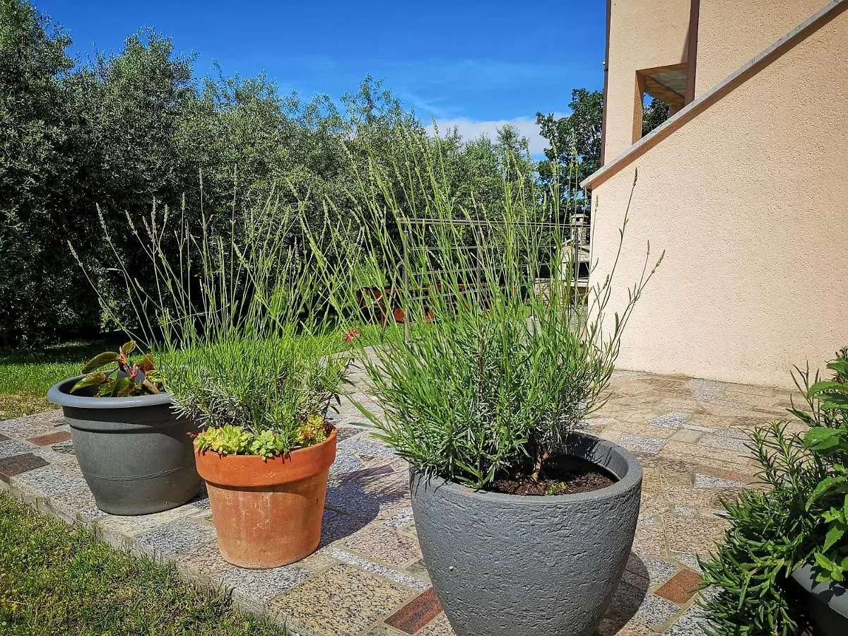 Villa Lili Pula Apartment
